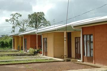 Las Bromelias  (21)