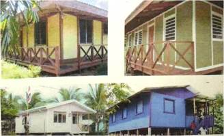 diseño tropical