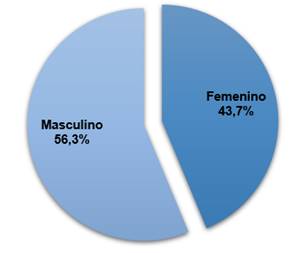 Gr&aacute;fico que muestra la distribuci&oacute;n de los casos formalizados por G&eacute;nero del deudor.