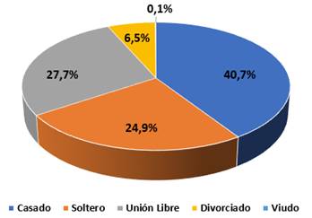 Gr&aacute;fico con la distribuci&oacute;n de casos formalizados por estado civil del deudor.