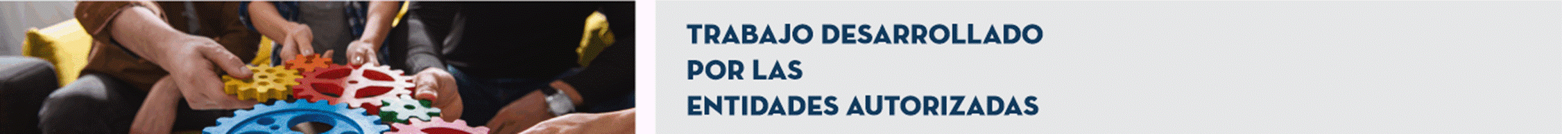 T&iacute;tulo: Trabajo desarrollado por las Entidades Autorizadas