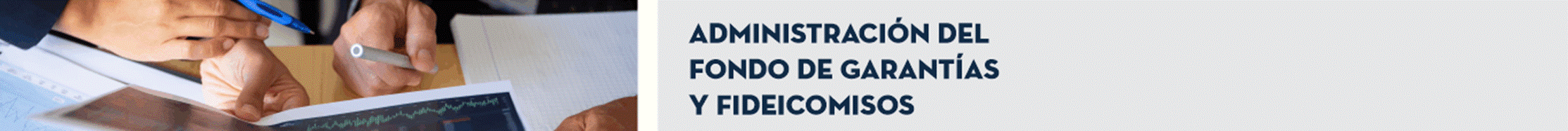 T&iacute;tulo: Administraci&oacute;n del Fondo de Garant&iacute;as y Fideicomisos.