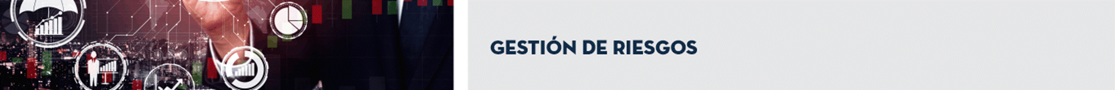 T&iacute;tulo: Gesti&oacute;n de Riesgos.