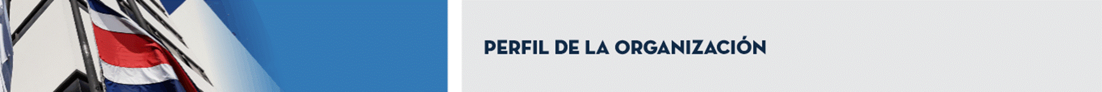 T&iacute;tulo: Perfil de la Organizaci&oacute;n.