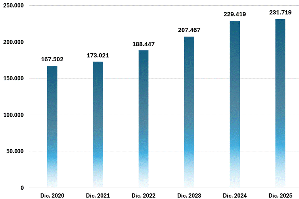 Gr&aacute;fico de barras del Estado de Situaci&oacute;n 2020-2025. Activo Total.