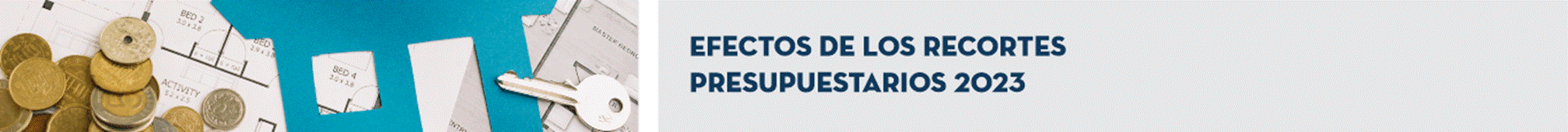 T&iacute;tulo: Efectos de los Recortes Presupuestarios 2023.