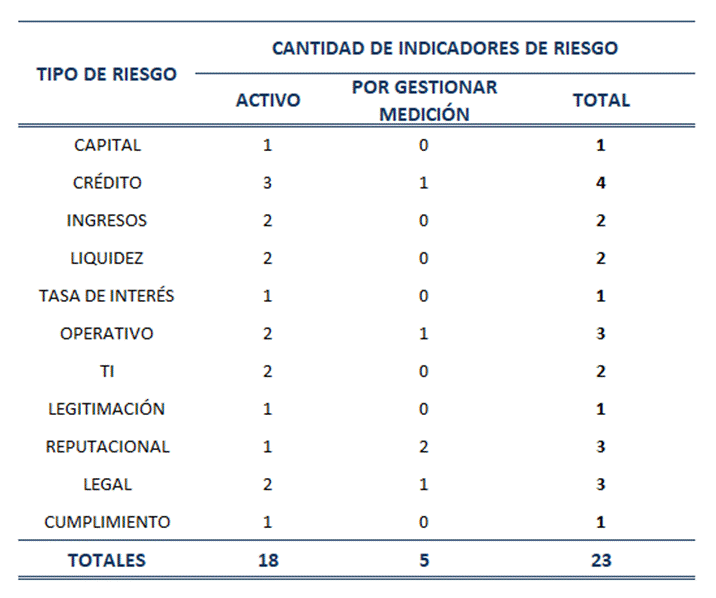 Tabla con el detalle de implementaci&oacute;n de indicadores de riesgos.