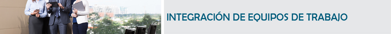 Titulo: Integraci&oacute;n de los Equipos de Trabajo.